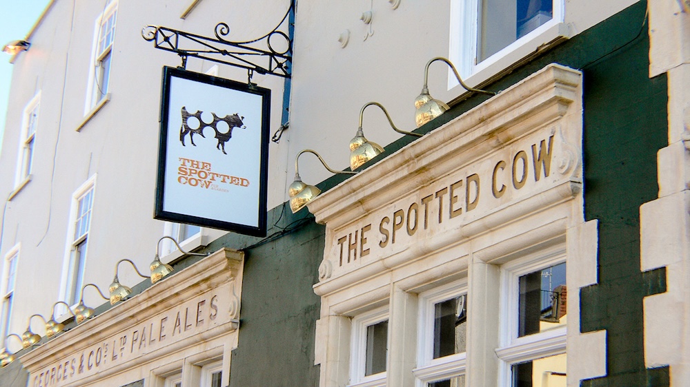 Dog-friendly Bristol